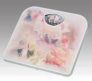 Mechanic Bathroom Scale